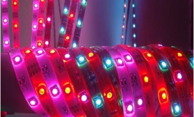 Светодиодная лента LED 556-561